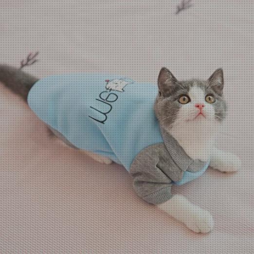 Análisis de los 21 mejores abrigos para gatos