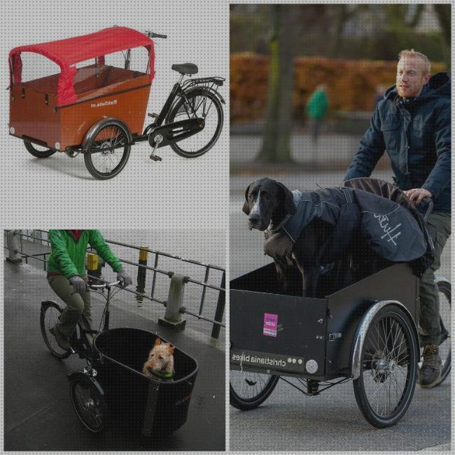 ¿Dónde poder comprar accesorios mascotas accesorios para bicicletas mascotas?