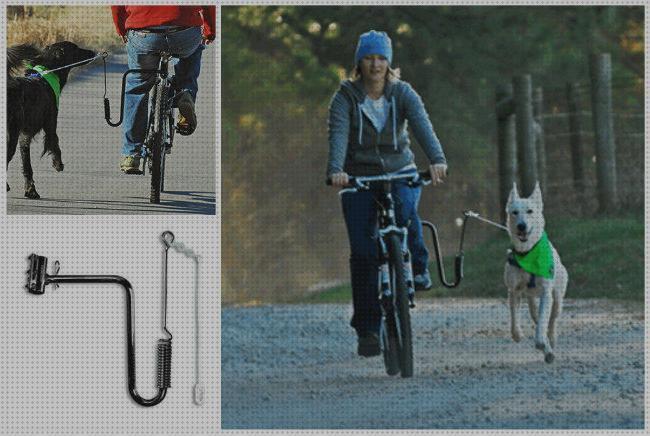 Los mejores 24 Accesorios Para Bicicletas Mascotas