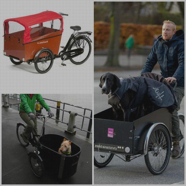 Review de accesorios para bicicletas mascotas