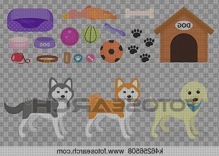 ¿Dónde poder comprar accesorios mascotas accesorios para mascotas ilustrcion?