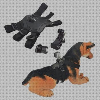 ¿Dónde poder comprar accesorios perros accesorios para perros doberman?