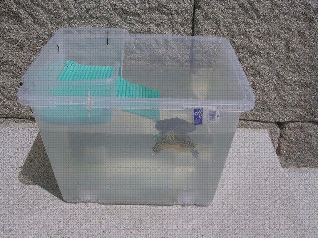 ¿Dónde poder comprar accesorios tortugas accesorios para tortugas de agua dulce?