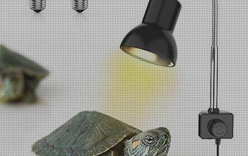 Las mejores accesorios tortugas accesorios para tortugas de agua dulce
