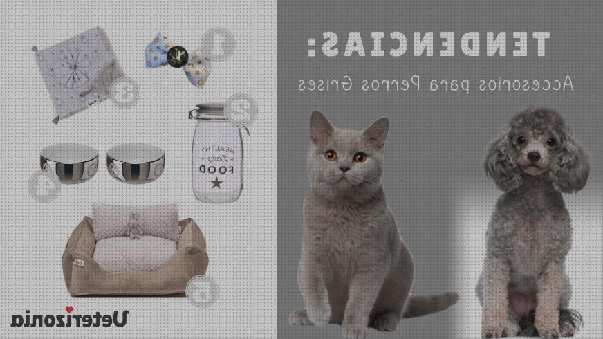 Las mejores marcas de accesorios accesorios para un gato