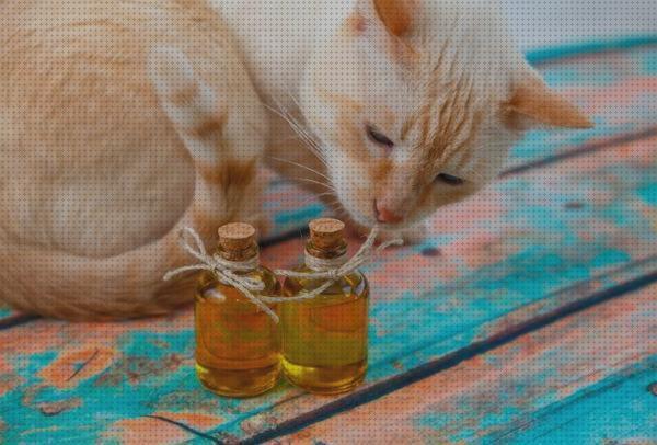 Review de aceite de parafina para gatos