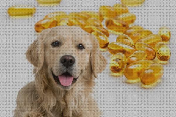 Los 10 Mejores Aceites Para Alimentaciones De Mascotas