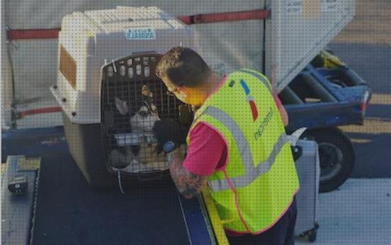 ¿Dónde poder comprar transportar mascotas agencia para transportar mascotas?