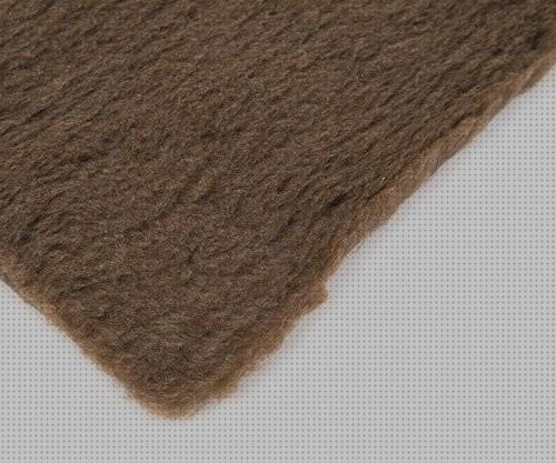 Las mejores seca mascotas alfombra absorbente siempre seca para mascotas