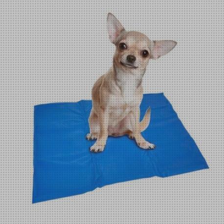 ¿Dónde poder comprar alfombras mascotas alfombra refrescante para mascotas?