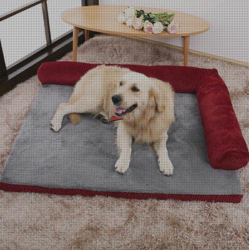 Las mejores marcas de alfombras mascotas alfombra grande para mascotas