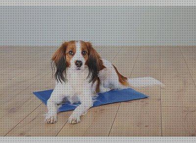 Las mejores marcas de alfombras mascotas alfombra refrescante para mascotas
