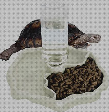 Las mejores automatico tortugas alimemtador automatico para tortugas
