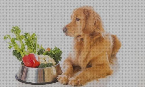 Review de los 20 mejores productos alimentaciones para mascotas bajo análisis