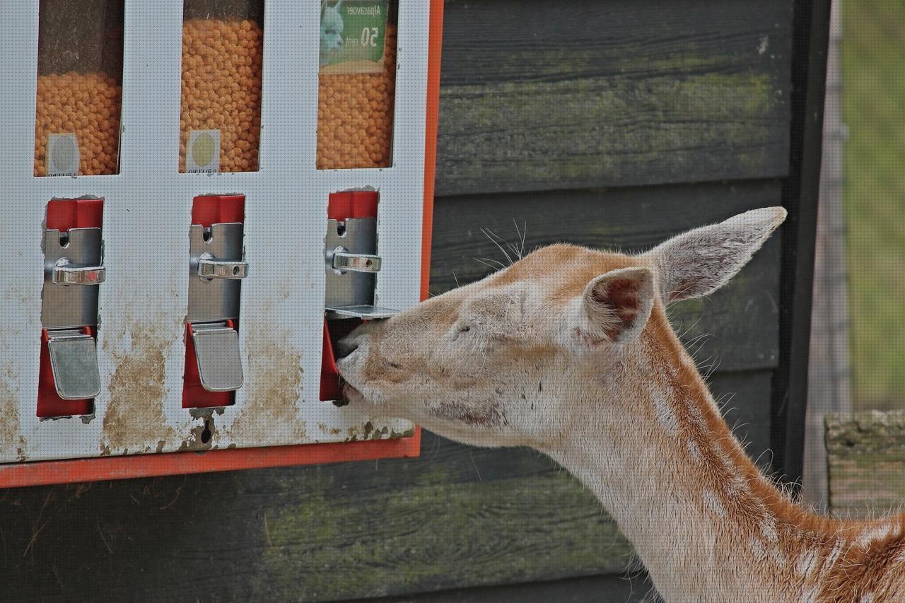 ¿Dónde poder comprar alimentadores mascotas alimentador automático para mascotas?