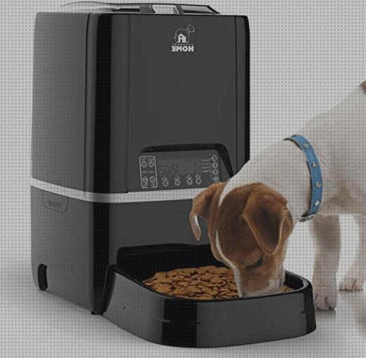 Análisis de los 9 mejores Alimentadores Automaticos Programables Para Mascotas