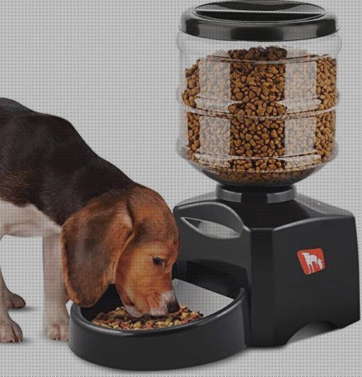 Las mejores automatico mascotas alimentador automatico programable para mascotas