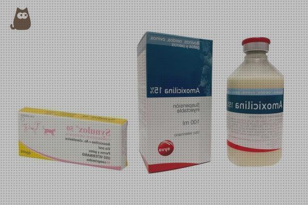 Las mejores marcas de amoxicilina gatos amoxicilina para gatos