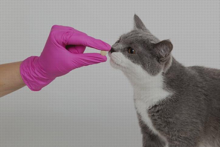 Las mejores antialergicos para gatos