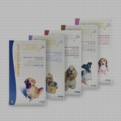 ¿Dónde poder comprar antiparasitarios perros antiparasitario interno y externo para perros?