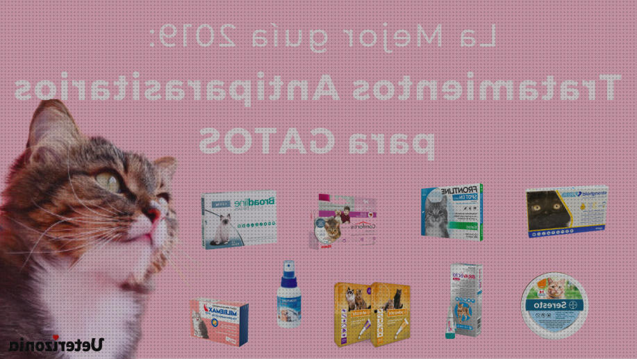 ¿Dónde poder comprar antipulgas gatos antipulgas oral para gatos?