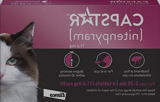 Las mejores marcas de antipulgas gatos antipulgas oral para gatos