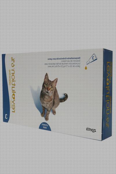 Las mejores marcas de antipulgas gatos antipulgas para gatos revolution