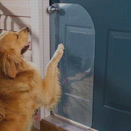 ¿Dónde poder comprar puertas mascotas antiralladuras de puertas para mascotas?