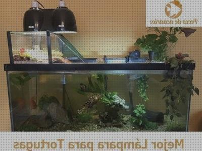 Review de aquarium para tortugas de agua