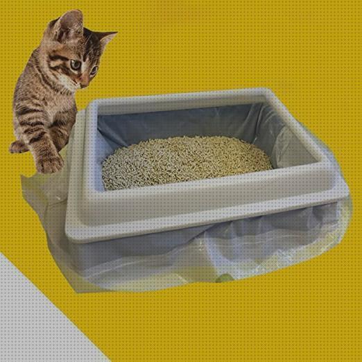 Review de arena higienica para gatos