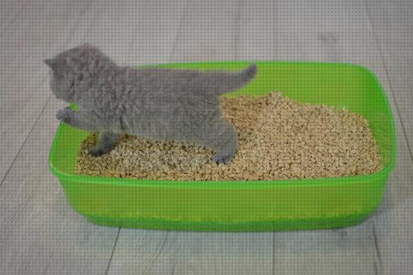 ¿Dónde poder comprar arenas gatos arena natural para gatos?