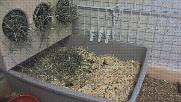 ¿Dónde poder comprar arenas conejos arena sanitaria para conejos?