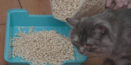 Las mejores marcas de arenas gatos arena vegetal para gatos