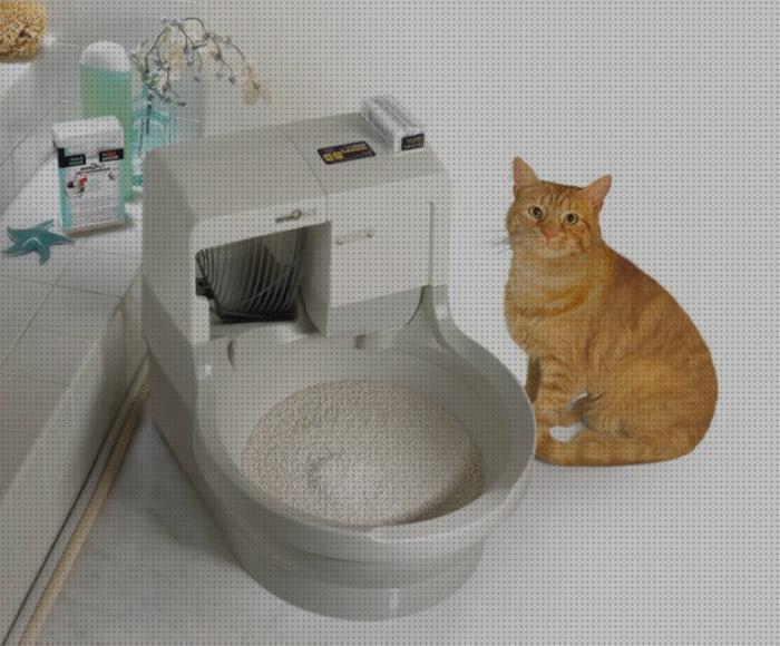 Las mejores marcas de areneros gatos arenero para gatos que se limpia solo