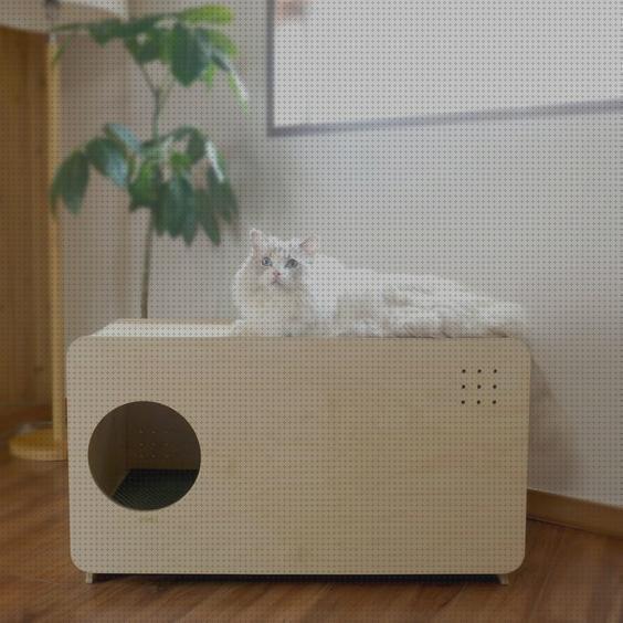 ¿Dónde poder comprar areneros gatos areneros para gatos de diseño?