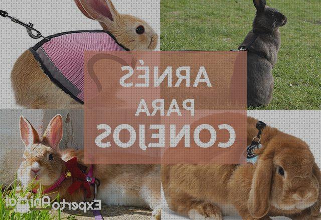Los mejores 20 Arneses De Telas Para Conejos