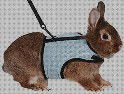 Análisis de los 16 mejores Arneses Para Conejos Enanos