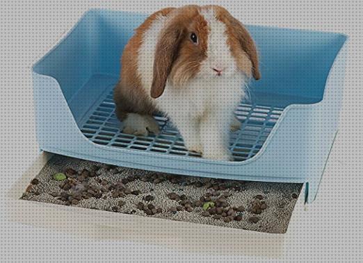 Opiniones de las 21 mejores Bandejas Higienica De Esquinas Para Conejos