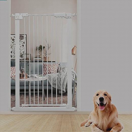 ¿Dónde poder comprar barrera mascotas barrera de puerta para mascotas?