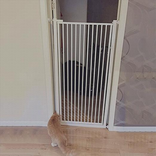 Las mejores barrera mascotas barrera de puerta para mascotas