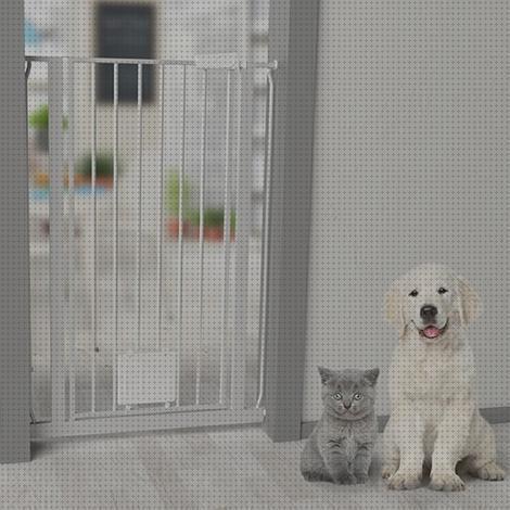 Review de barrera de puerta para mascotas