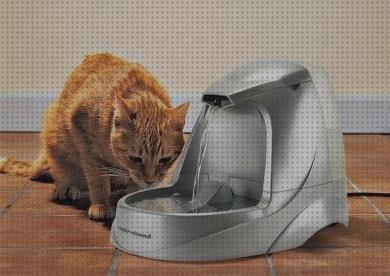 Review de bebedero de agua para gatos