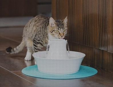 ¿Dónde poder comprar kiwoko gatos bebedero para gatos kiwoko?
