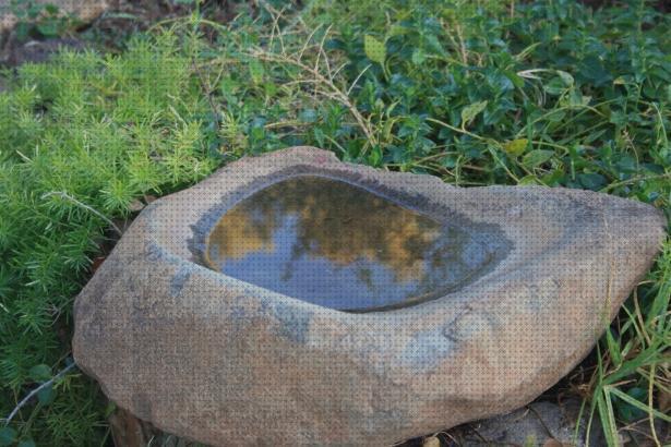 Las mejores bebederos pajaros bebederos de piedra para pajaros