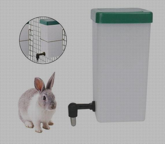 Review de bebederos para conejos de un litros
