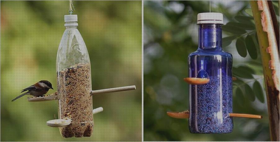 Las mejores bebederos bebederos para pájaros reciclados