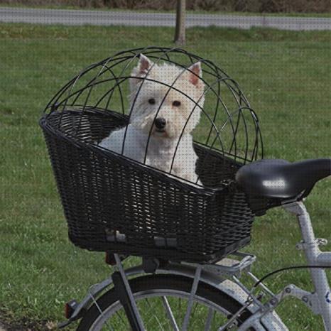 ¿Dónde poder comprar bicicletas?