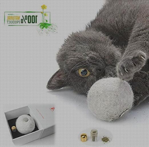 Review de bolas de lana para gatos