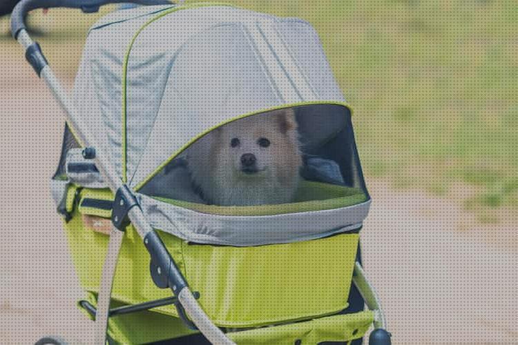 ¿Dónde poder comprar carrito mascotas bolsa para carrito mascotas?