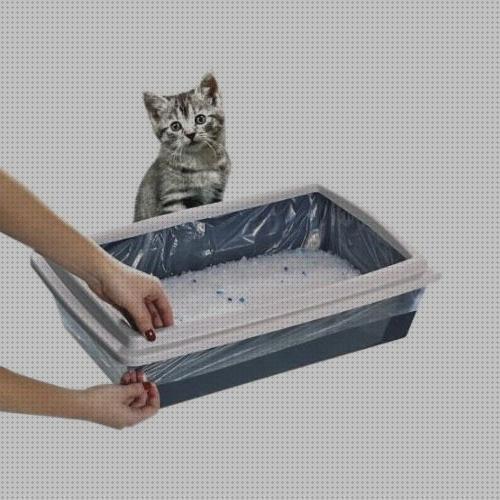 ¿Dónde poder comprar areneros gatos bolsas para areneros gatos?